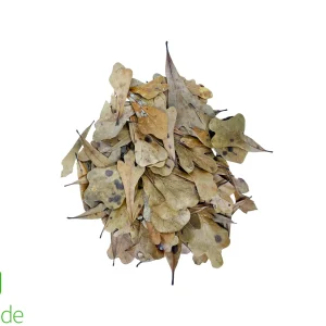 Bio Dude Leaf Litter - Water Oak