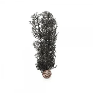 biOrb Small Black Sea Fan 46093 @ Fish Tanks Direct