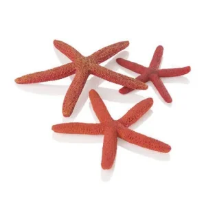 biOrb Star Fish Set of 3 Red 48356 @ Fish Tanks Direct