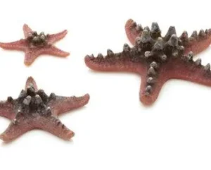biOrb Starfish Set of 3 Natural