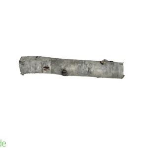 Birch Branch 100% natural and ethically sourced