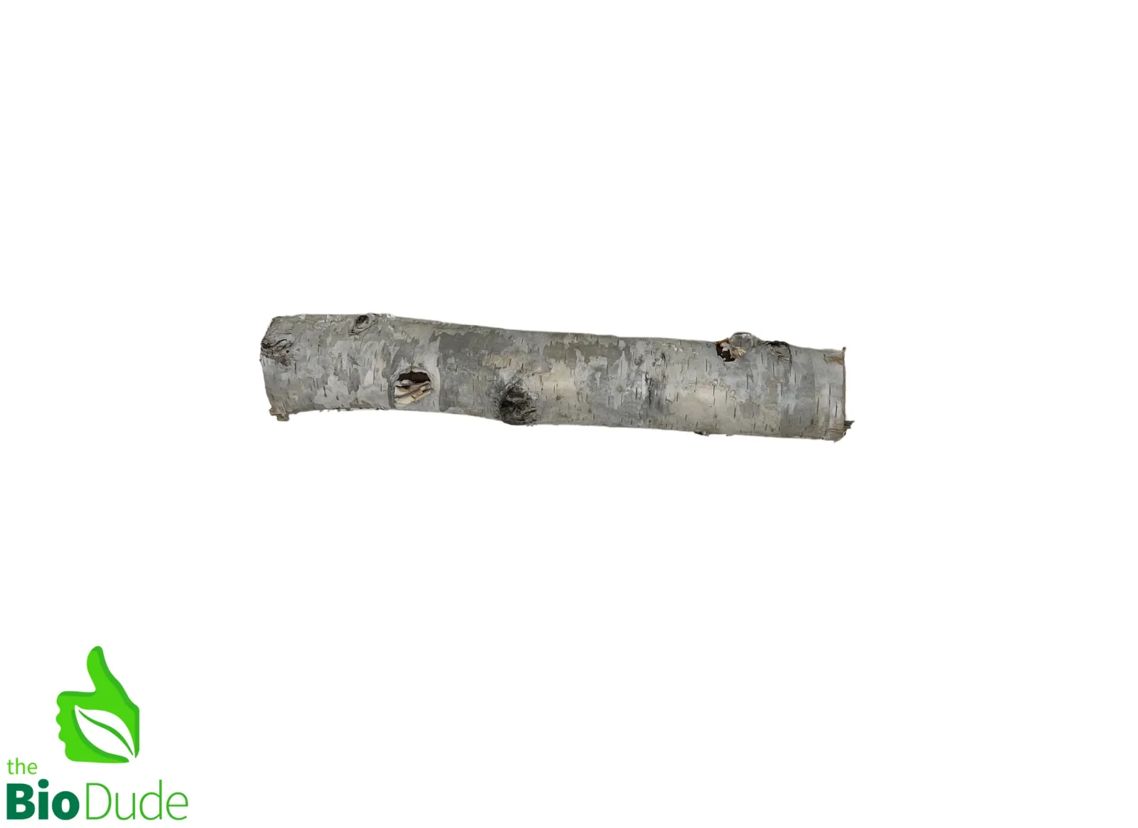 Birch Branch 100% natural and ethically sourced