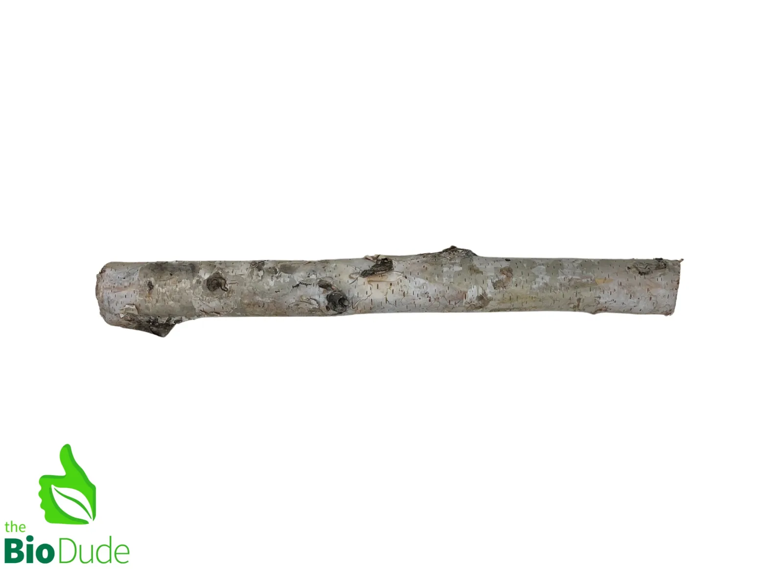 Birch Branch 100% natural and ethically sourced - Image 2