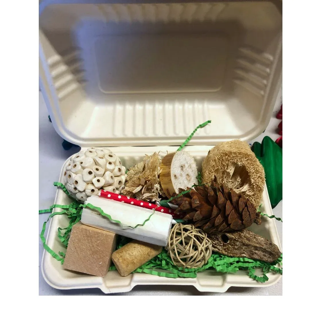 Birdie Foraging Box