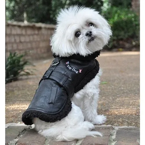Black Top Dog Flight Coat with Leash - Image 2