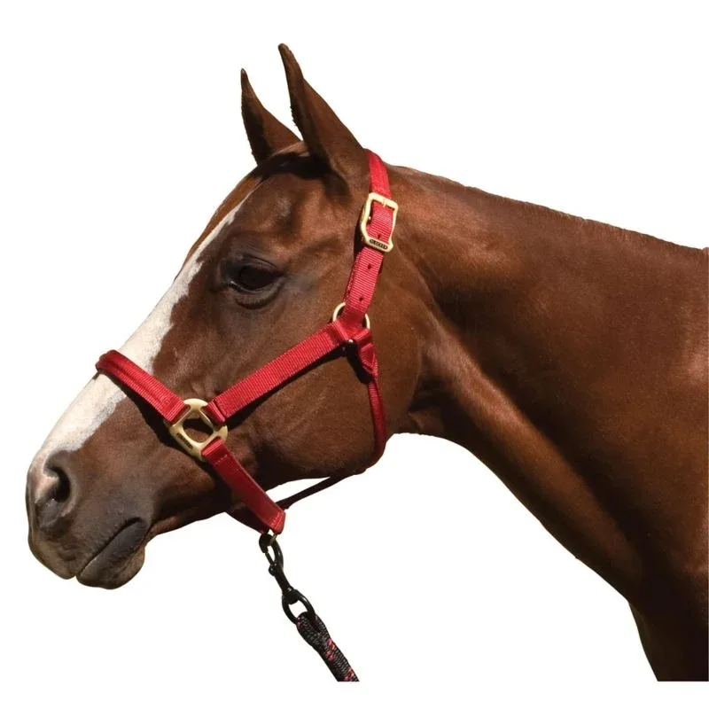 Blocker Reinforced Halter - Image 2