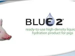 Blue 2 Liquid 2.5 Gal