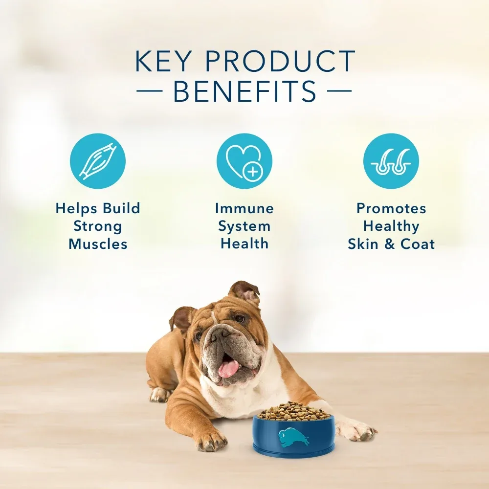 Blue Buffalo Basics Grain Free Adult Turkey and Potato Dry Dog Food - Image 2