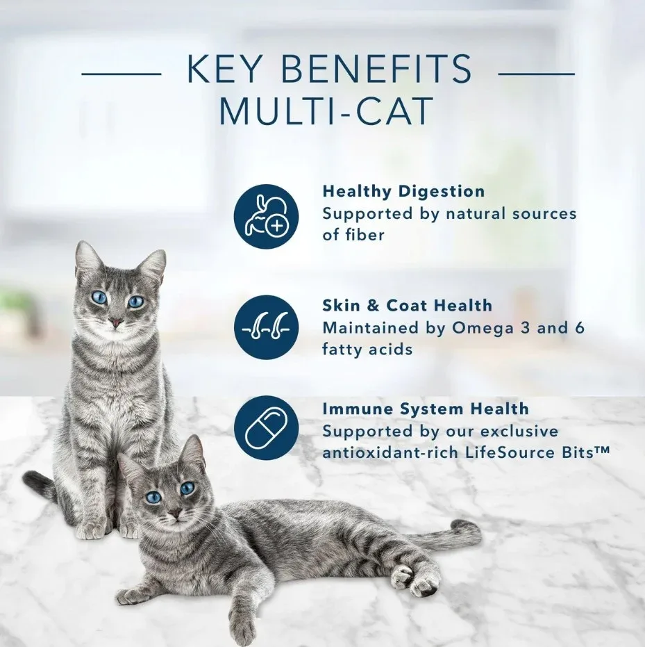 Blue Buffalo Multi-Cat Natural Chicken & Turkey Adult Dry Cat Food - Image 2