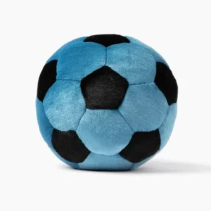 Blue Soccer Ball