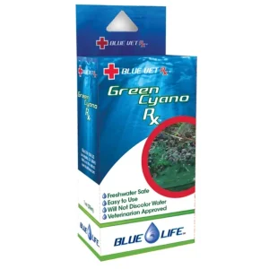 BlueLife Green Cyano Rx