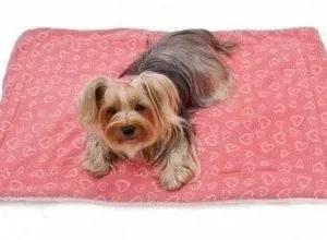 Blush of Hearts Fleece-Ultra-Plush Blanket