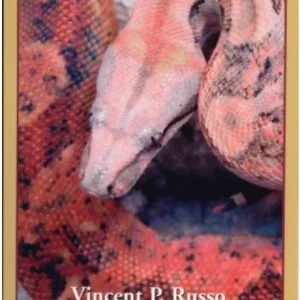 Boas in Captivity