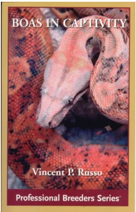 Boas in Captivity