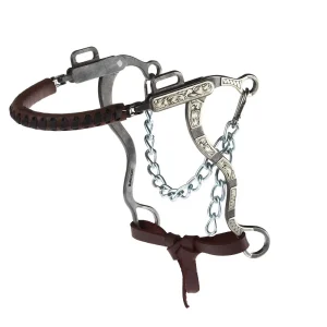 Brandon Anthony Bit & Spur Co. Engraved Silver Bar Short Shank Hackamore