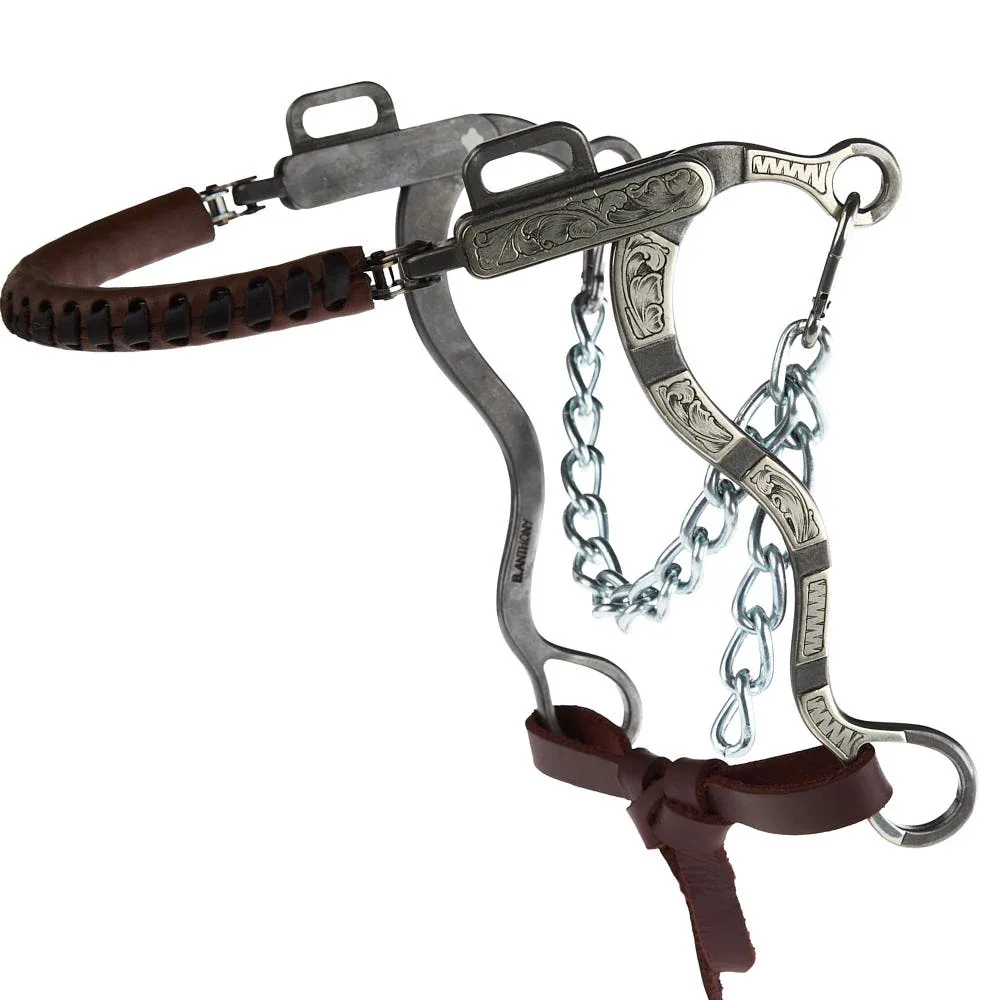 Brandon Anthony Bit & Spur Co. Engraved Silver Bar Short Shank Hackamore - Image 2