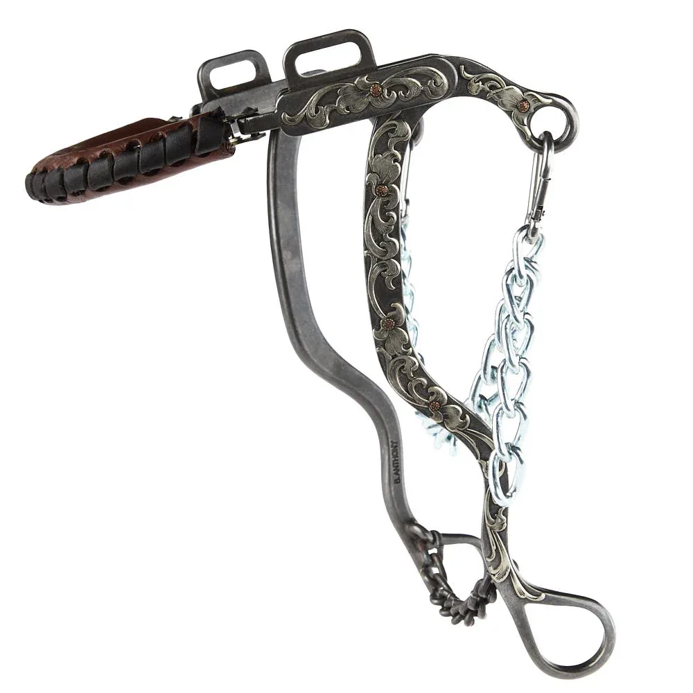Brandon Anthony Bit & Spur Co. Engraved Silver Floral Long Shank Hackamore - Image 2