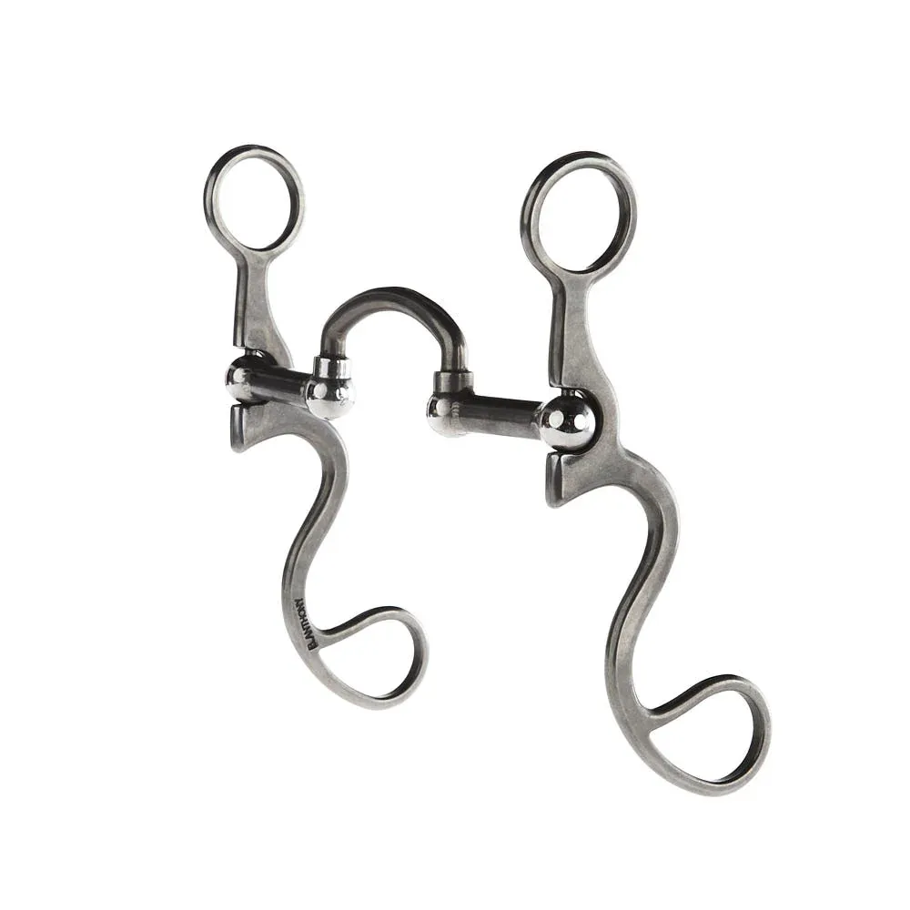 Brandon Anthony Bit & Spur Co. Small rection Port S Shank Bit