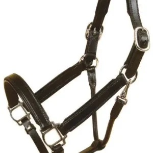 Bridle Leather Padded Halter/Nickel Cob Blk