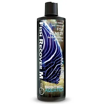 Brightwell Aquatics Fish recover M (Marine) 2 Liters. natural herbal medication for open sores, redness in fins body, cloufy eyes, tail and fin rot