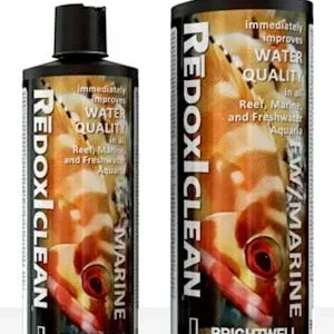 Brightwell Aquatics RedoxIClean,, 500 ml. / 17 oz.