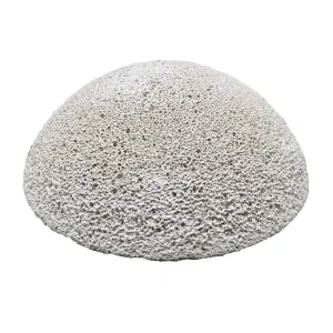 Brightwell Aquatics Xport-Ca R.E.E.F. Eight (8) HemiXSpheres - 2" nominal diameter Xport-Ca Hemisphere for Frag Mounting