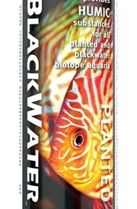Brightwell Blackwater
