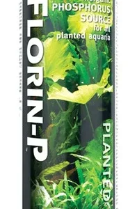 Brightwell Florin