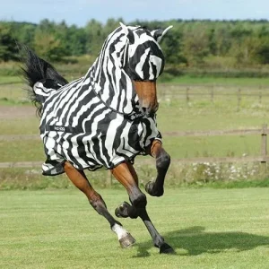 Bucas Zebra Fly Mask