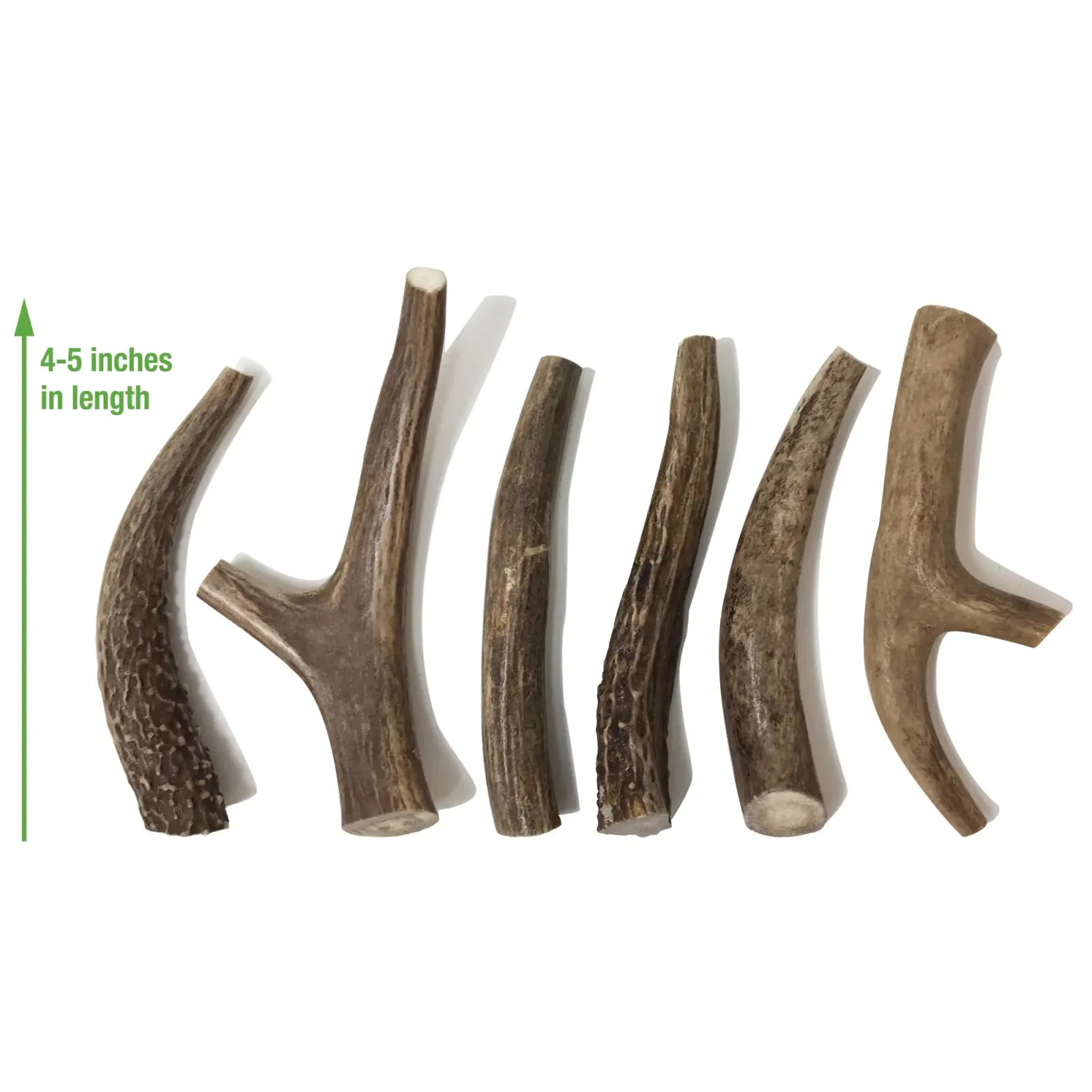 Buck Bone Organics Deer Antler - Image 2