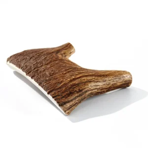 Buck Bone Organics Moose Antler