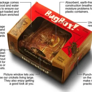BugBox! Crickets Pinhead, Small, Medium, Or Large - 25 Count or 50 Count