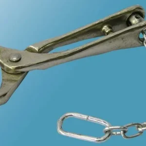 Bull Lead With Chain