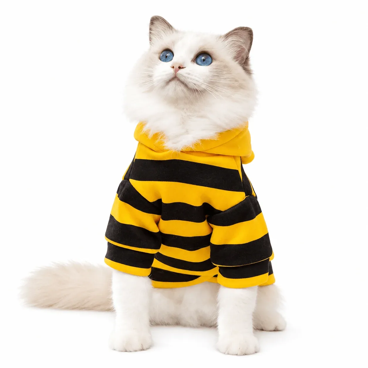 Bumblebee Cat Hoodie – Cute Bee Costume for Cats & Dogs