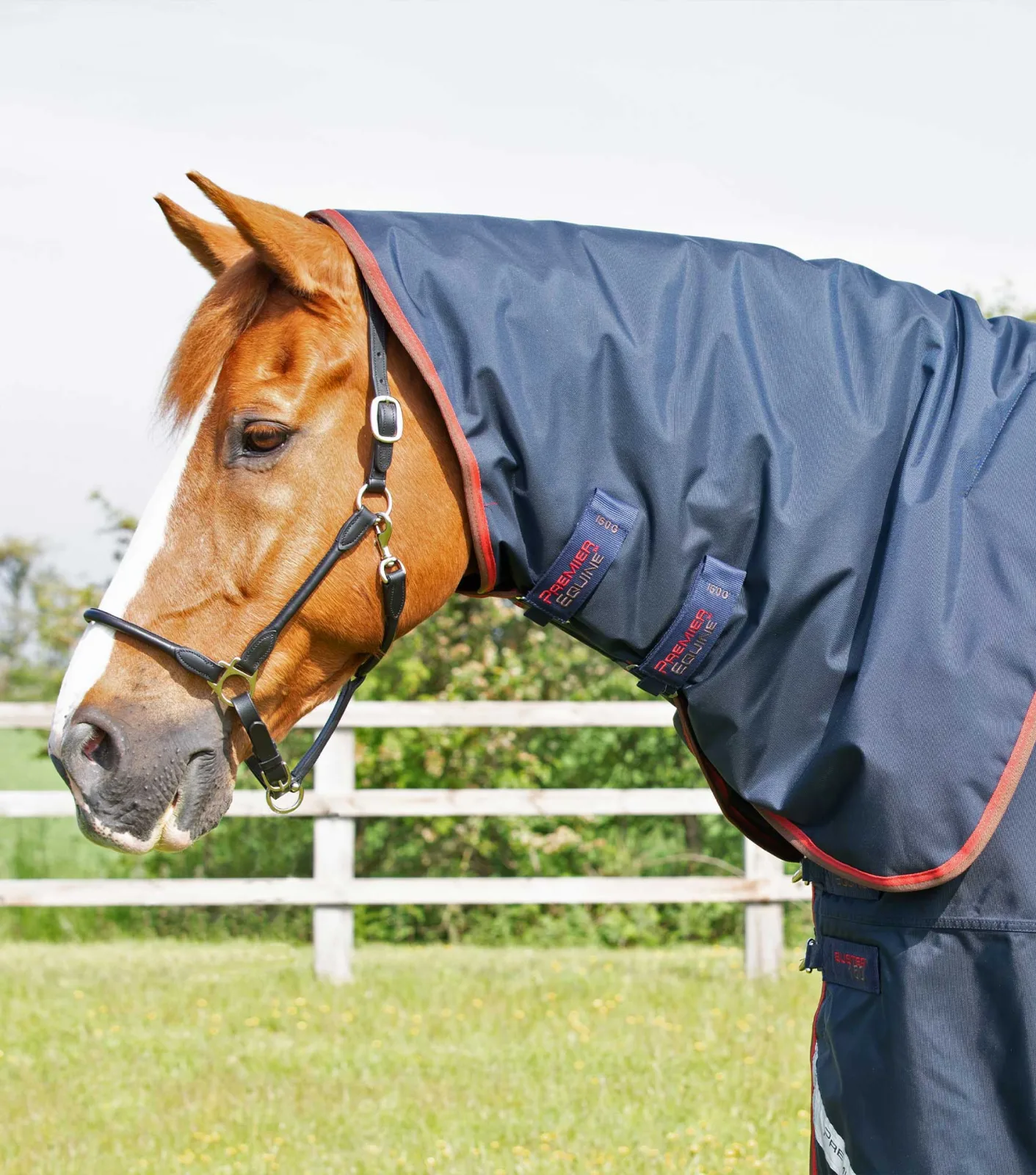Buster 150g Classic Neck Cover (150g Fill) Navy