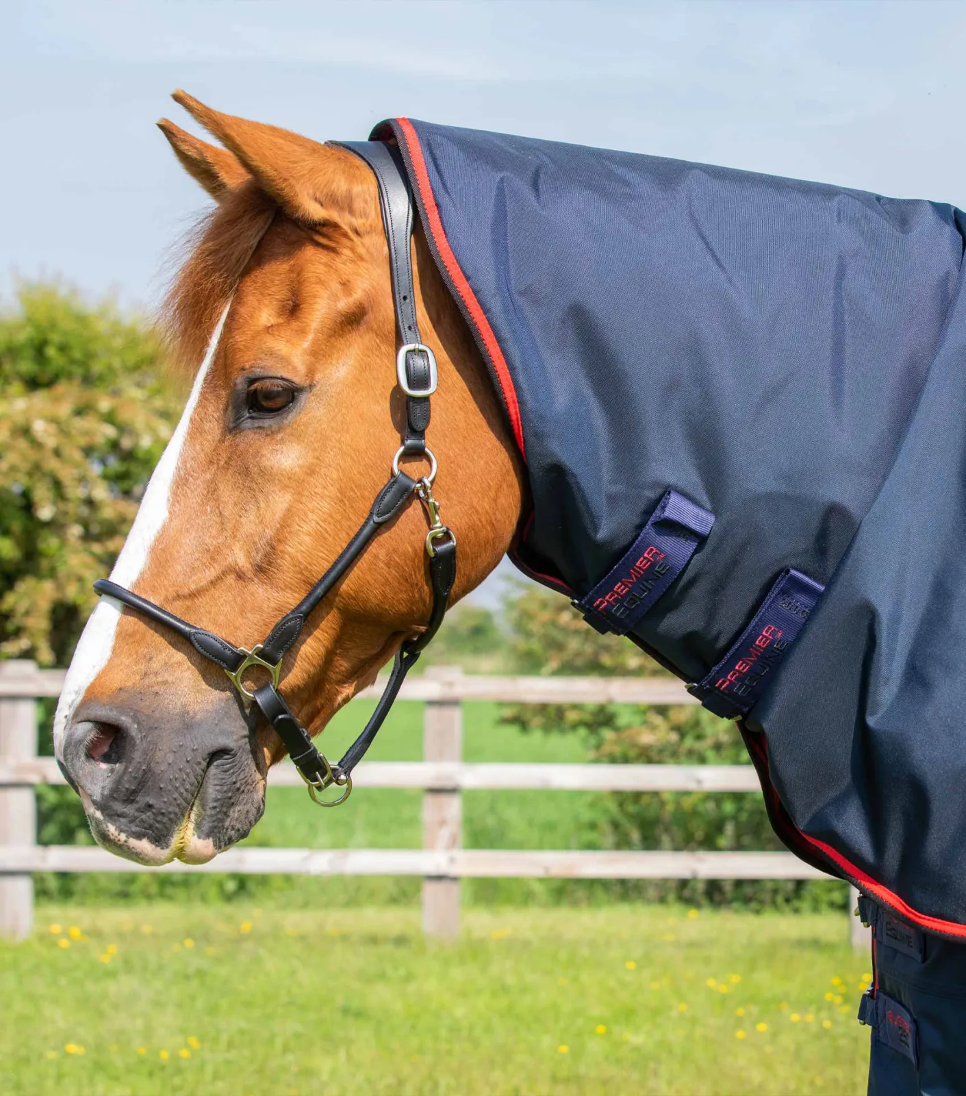 Buster 250g Classic Neck Cover (200g Fill) Navy