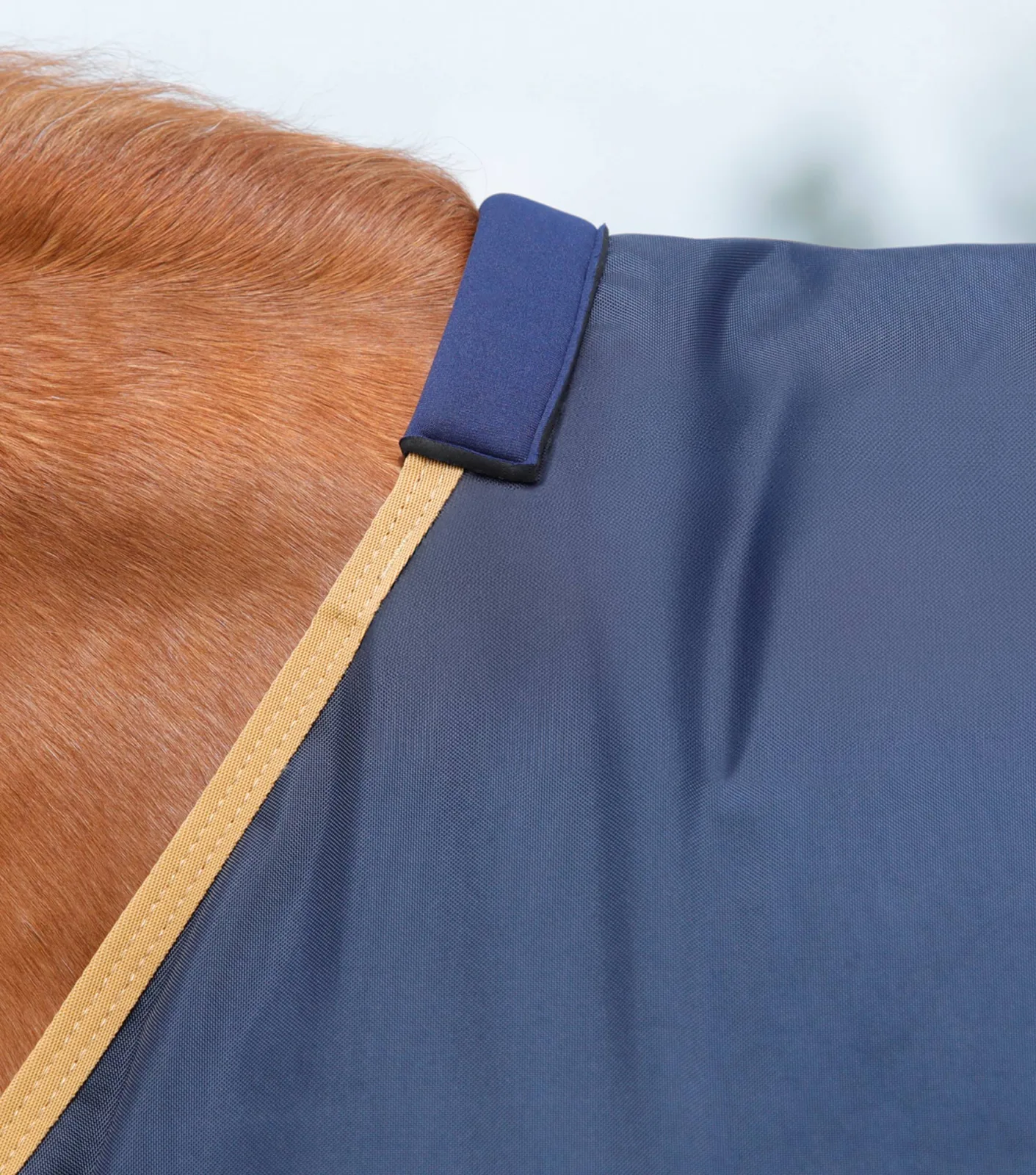 Buster 50g Original Turnout Rug Navy - Image 2