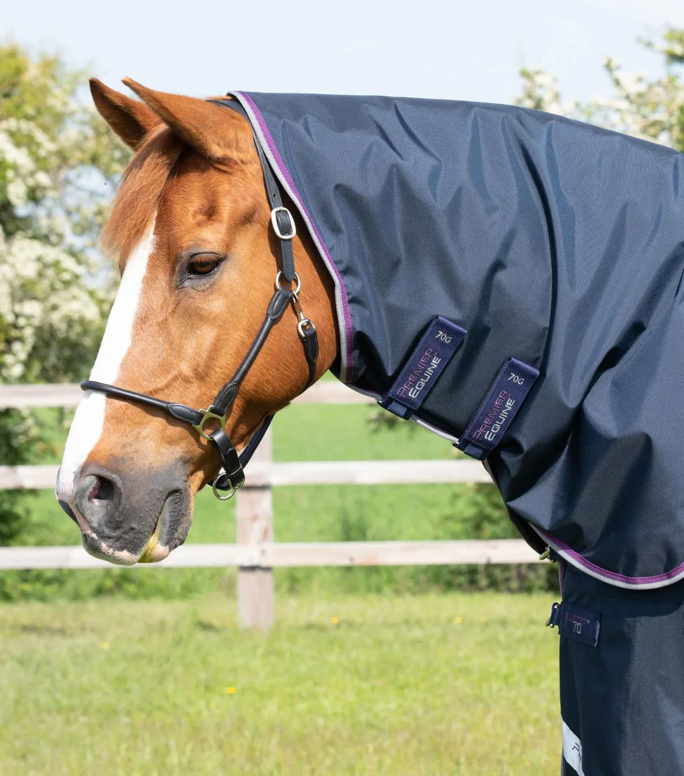 Buster 70g Classic Neck Cover (70g Fill) Navy