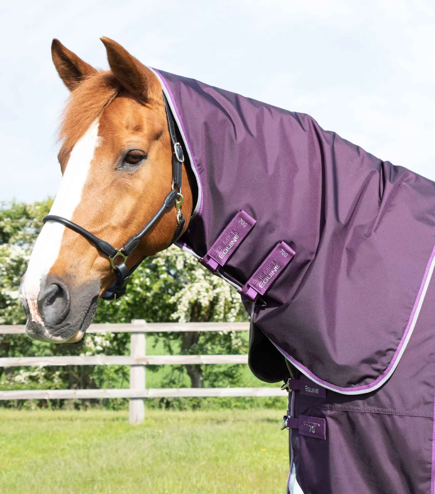 Buster 70g Classic Neck Cover (70g Fill) Purple