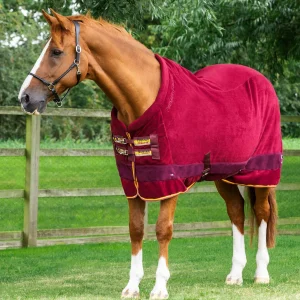 Buster Fleece Cooler Rug - Continental Edition Burgundy