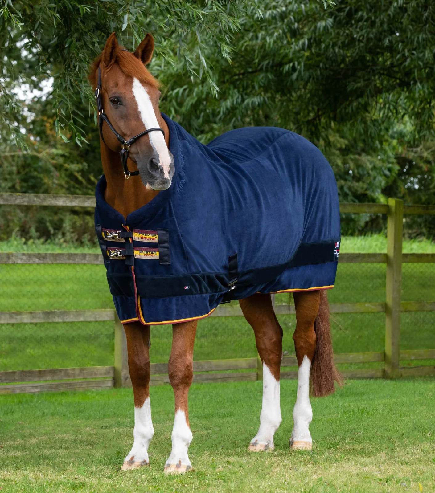 Buster Fleece Cooler Rug - Continental Edition Navy