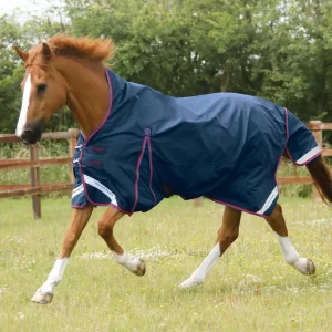Buster Hardy 0g Half Neck Turnout Rug Navy