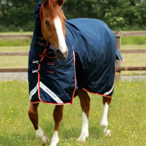 Buster Storm 200g Combo Turnout Rug with Snug-Fit Neck Navy