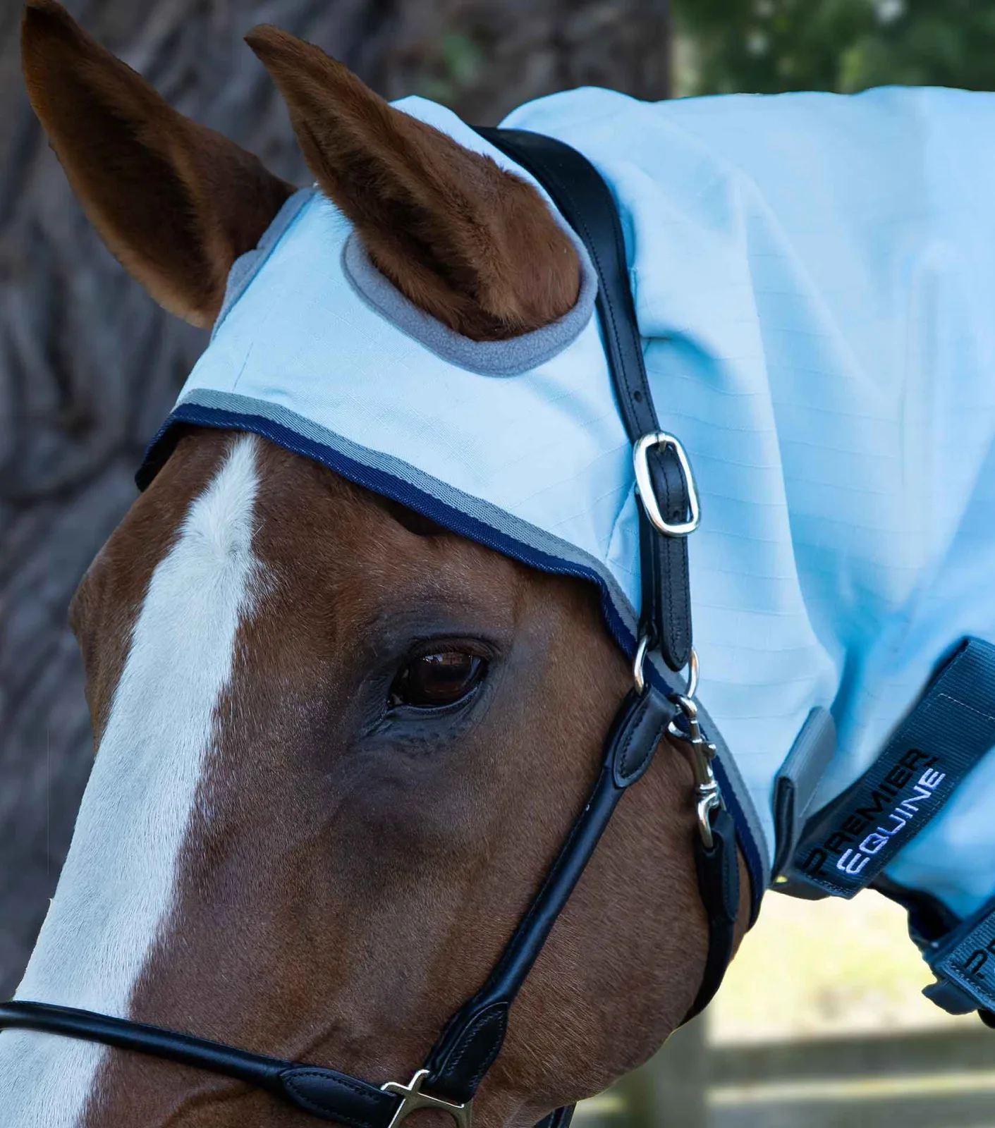 Buster Sweet Itch Fly Rug with Surcingles Blue - Image 2