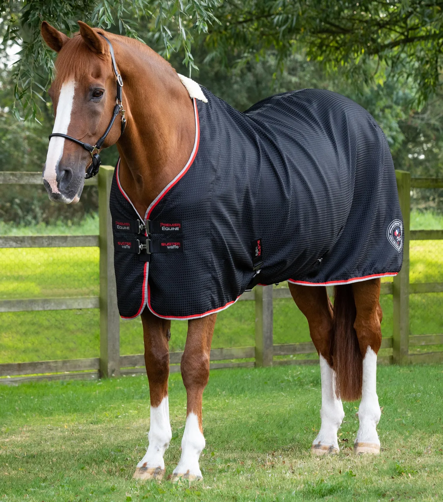 Buster Waffle Horse Cooler Rug Black