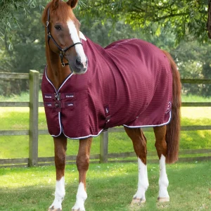 Buster Waffle Horse Cooler Rug Burgundy