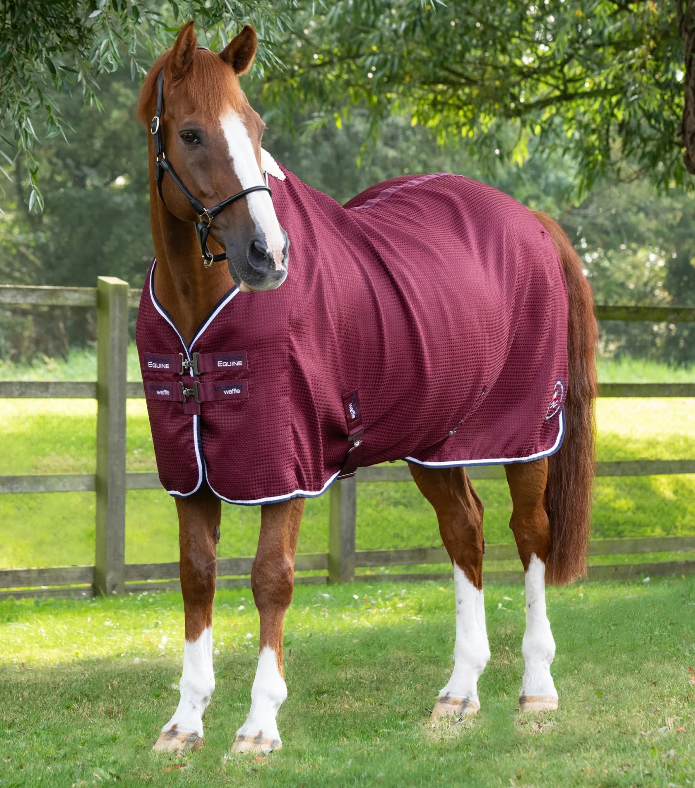 Buster Waffle Horse Cooler Rug Burgundy