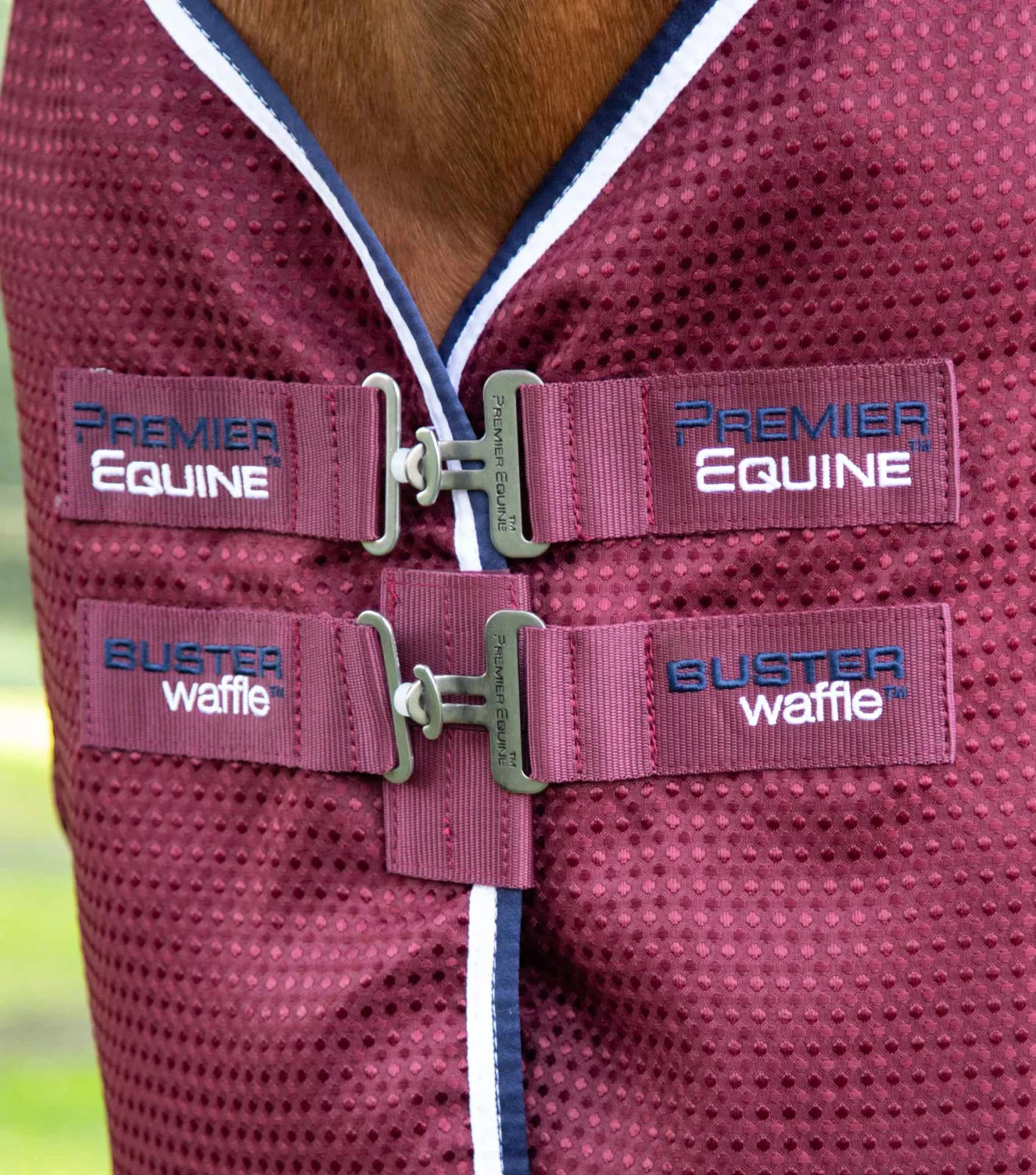 Buster Waffle Horse Cooler Rug Burgundy - Image 2