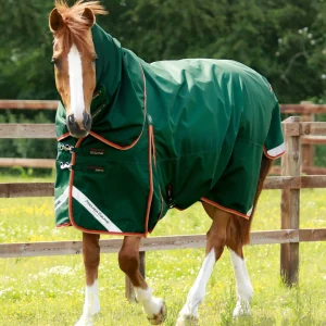 Buster Zero Turnout Rug with Classic Neck Cover Green