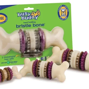 Busy Buddy Bristle Bone Chew Toy Multi-Color LG